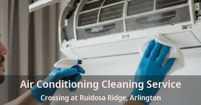 Air Conditioning Cleaning Service Crossing at Ruidosa Ridge, Arlington - TX