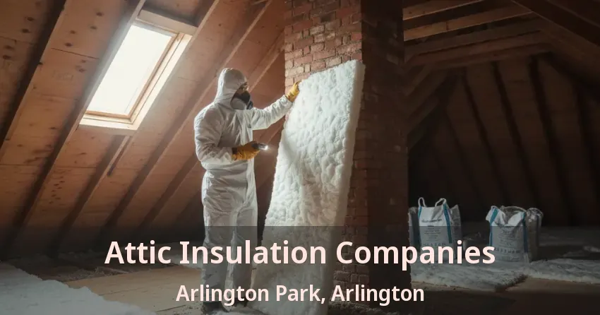 Attic Insulation Companies Arlington Park, Arlington - TX