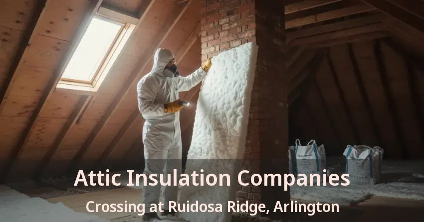 Attic Insulation Companies Crossing at Ruidosa Ridge, Arlington - TX