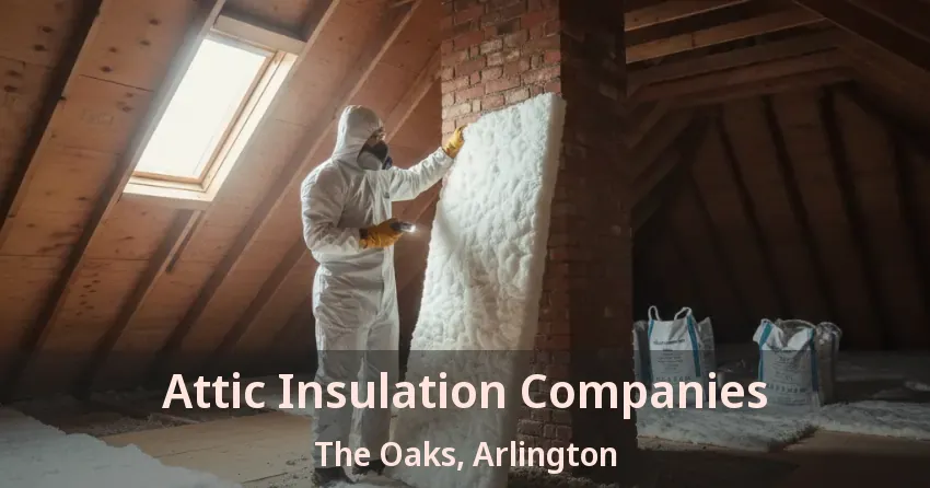 Attic Insulation Companies The Oaks, Arlington - TX Attic Insulation Companies The Oaks, Arlington - TX