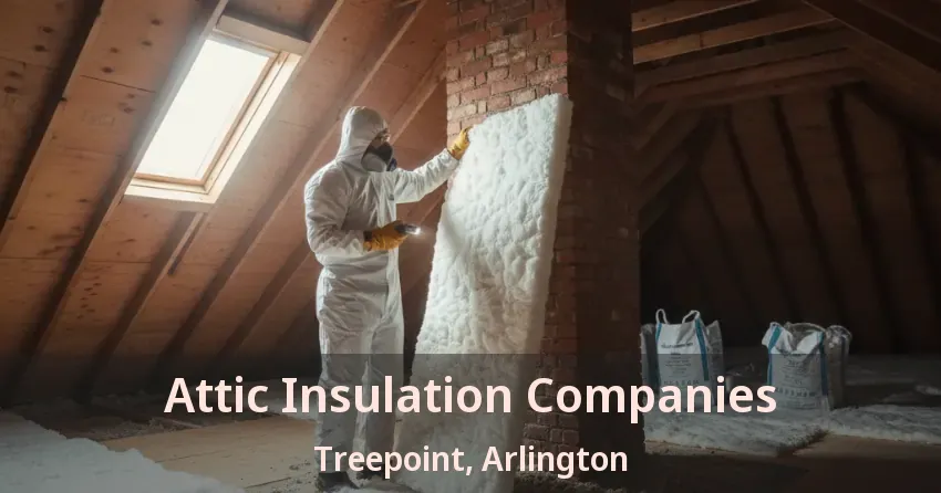 Attic Insulation Companies Treepoint, Arlington - TX