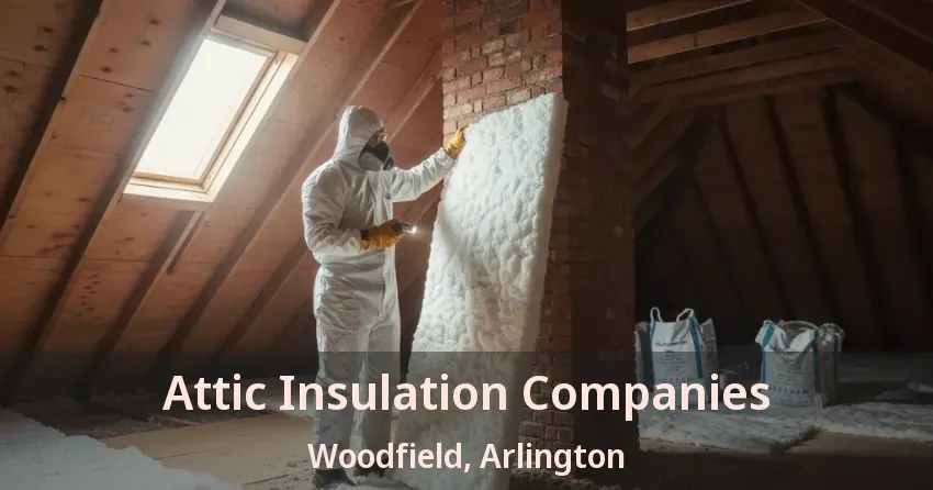 Attic Insulation Companies Woodfield, Arlington - TX