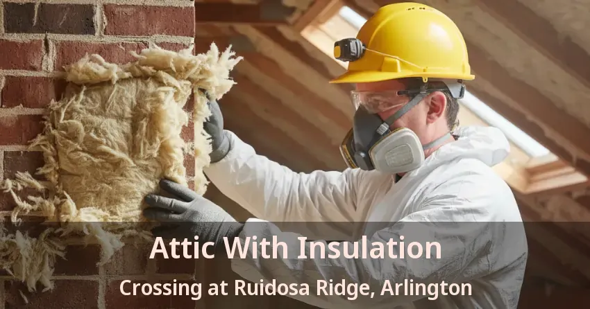 Attic With Insulation Crossing at Ruidosa Ridge, Arlington - TX Attic With Insulation Crossing at Ruidosa Ridge, Arlington - TX