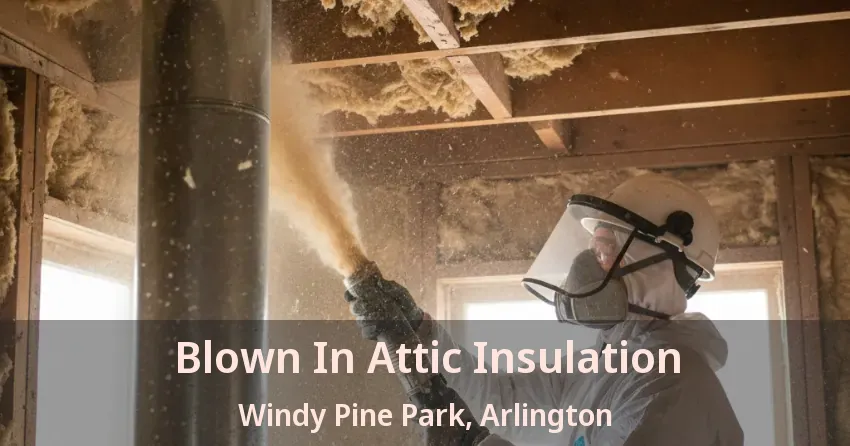 Blown In Attic Insulation Windy Pine Park, Arlington - TX