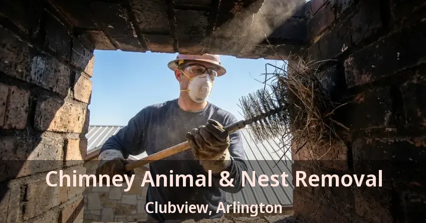 Chimney Animal & Nest Removal Clubview, Arlington - TX Chimney Animal & Nest Removal Clubview, Arlington - TX