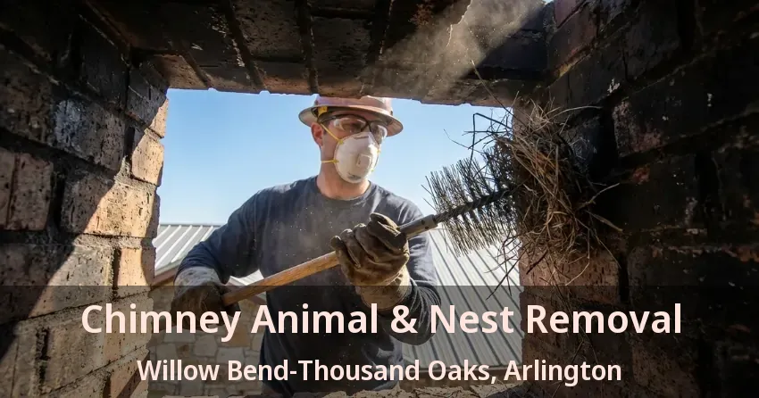 Chimney Animal & Nest Removal Willow Bend-Thousand Oaks, Arlington - TX Chimney Animal & Nest Removal Willow Bend-Thousand Oaks, Arlington - TX