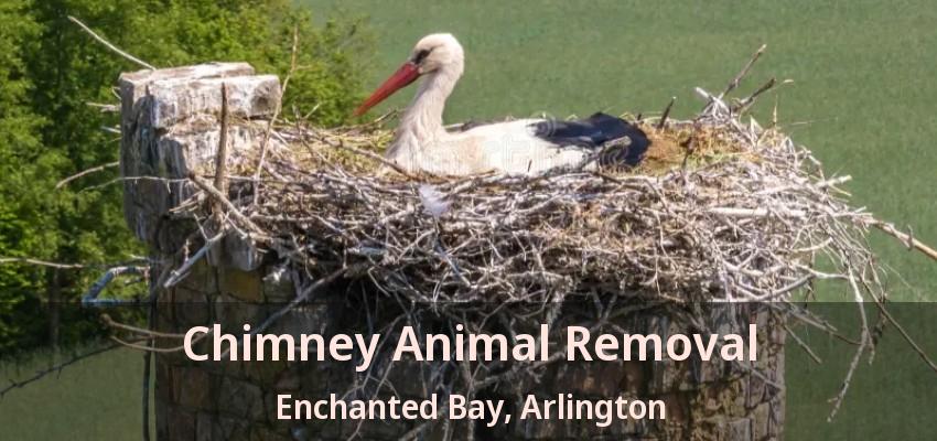 Chimney Animal Removal Enchanted Bay, Arlington - TX
