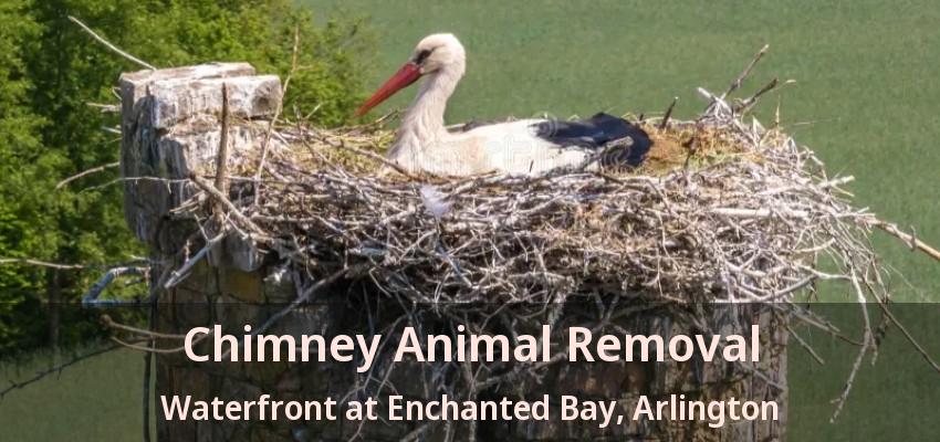 Chimney Animal Removal Waterfront at Enchanted Bay, Arlington - TX