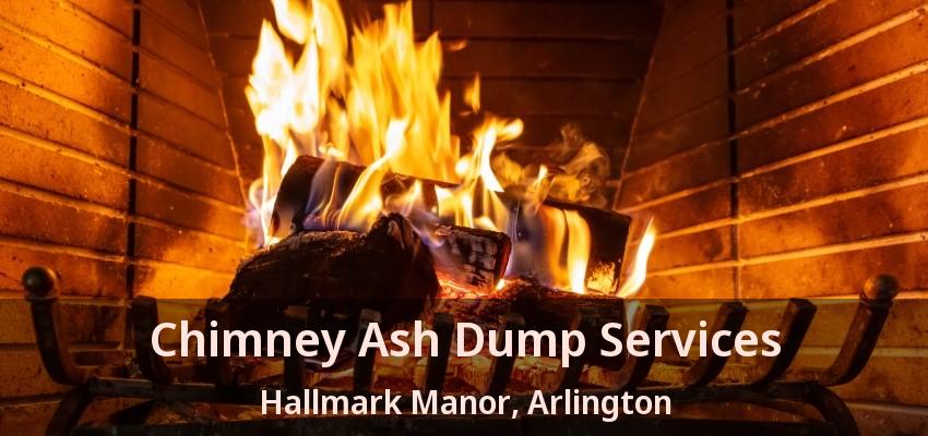 Chimney Ash Dump Services Hallmark Manor, Arlington - TX