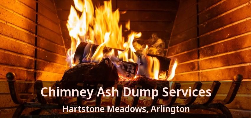 Chimney Ash Dump Services Hartstone Meadows, Arlington - TX