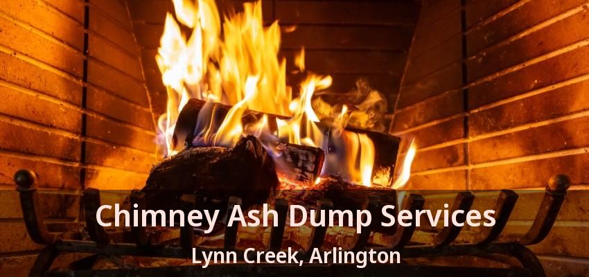 Chimney Ash Dump Services Lynn Creek, Arlington - TX