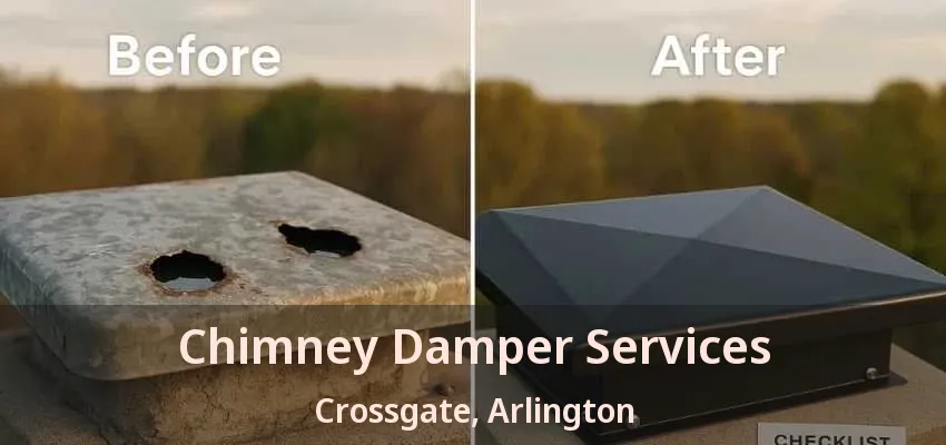 Chimney Damper Services Crossgate, Arlington - TX