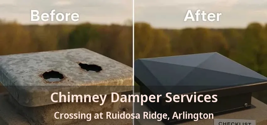 Chimney Damper Services Crossing at Ruidosa Ridge, Arlington - TX Chimney Damper Services Crossing at Ruidosa Ridge, Arlington - TX