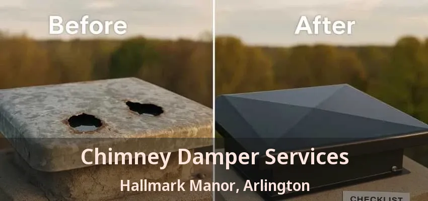 Chimney Damper Services Hallmark Manor, Arlington - TX