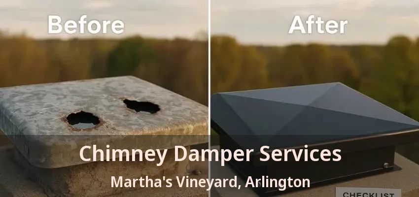 Chimney Damper Services Martha's Vineyard, Arlington - TX
