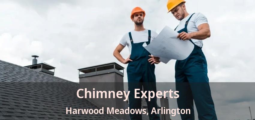 Chimney Experts Harwood Meadows, Arlington - TX Chimney Experts Harwood Meadows, Arlington - TX