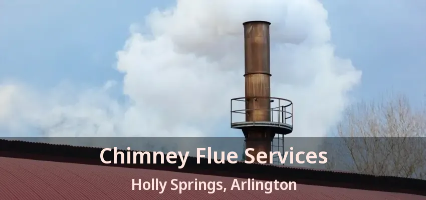 Chimney Flue Services Holly Springs, Arlington - TX