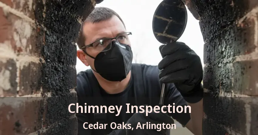 Chimney Inspection Cedar Oaks, Arlington - TX