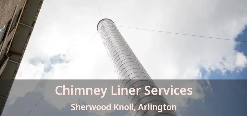 Chimney Liner Services Sherwood Knoll, Arlington - TX