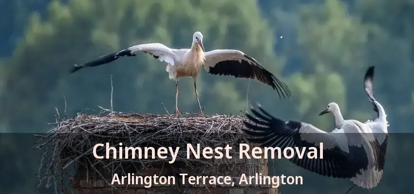 Chimney Nest Removal Arlington Terrace, Arlington - TX