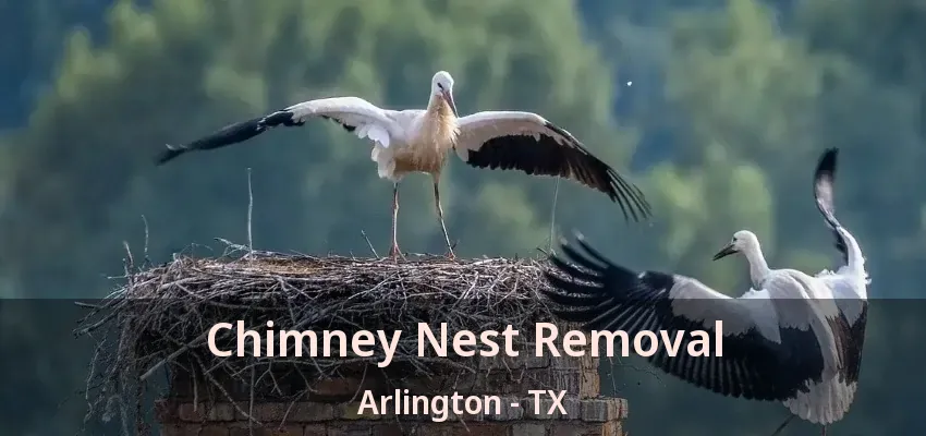 Chimney Nest Removal Arlington - TX Chimney Nest Removal Arlington - TX