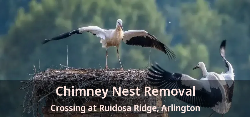 Chimney Nest Removal Crossing at Ruidosa Ridge, Arlington - TX Chimney Nest Removal Crossing at Ruidosa Ridge, Arlington - TX