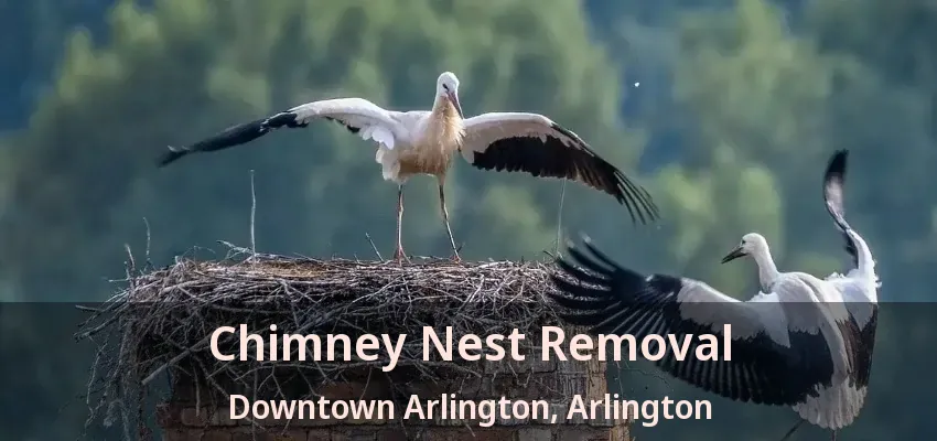 Chimney Nest Removal Downtown Arlington, Arlington - TX