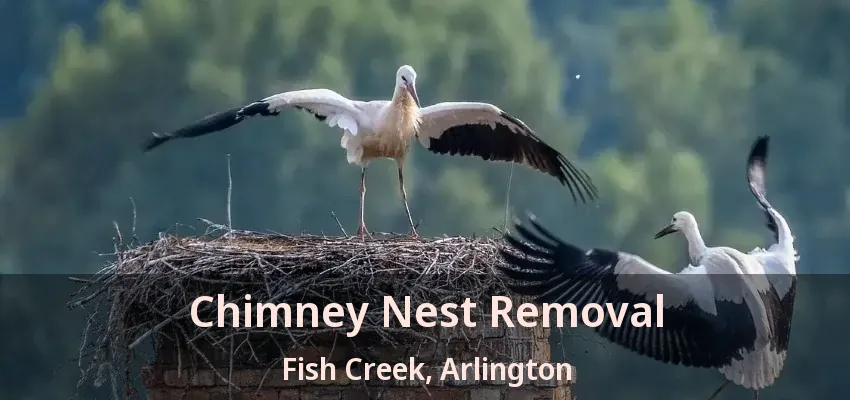 Chimney Nest Removal Fish Creek, Arlington - TX Chimney Nest Removal Fish Creek, Arlington - TX