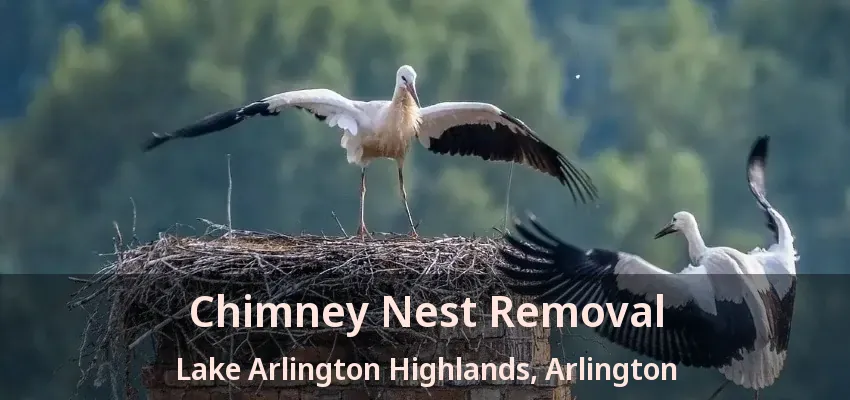 Chimney Nest Removal Lake Arlington Highlands, Arlington - TX