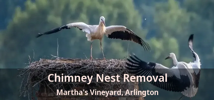 Chimney Nest Removal Martha's Vineyard, Arlington - TX Chimney Nest Removal Martha's Vineyard, Arlington - TX