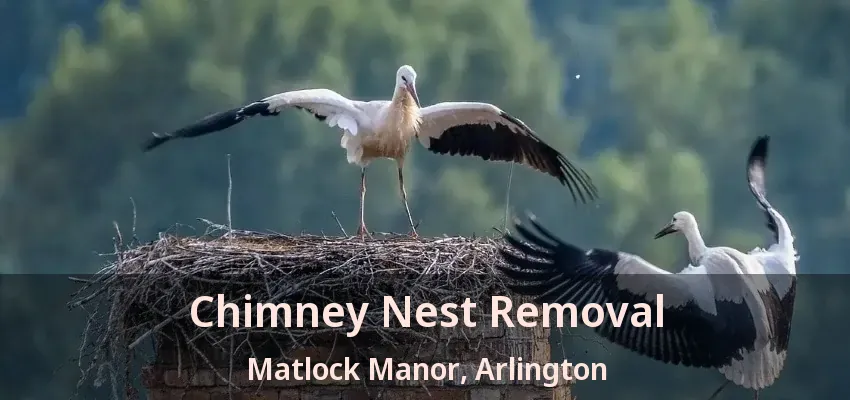 Chimney Nest Removal Matlock Manor, Arlington - TX