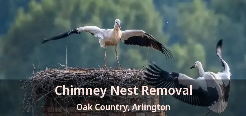 Chimney Nest Removal Oak Country, Arlington - TX