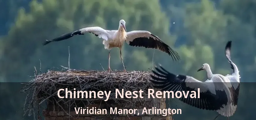 Chimney Nest Removal Viridian Manor, Arlington - TX