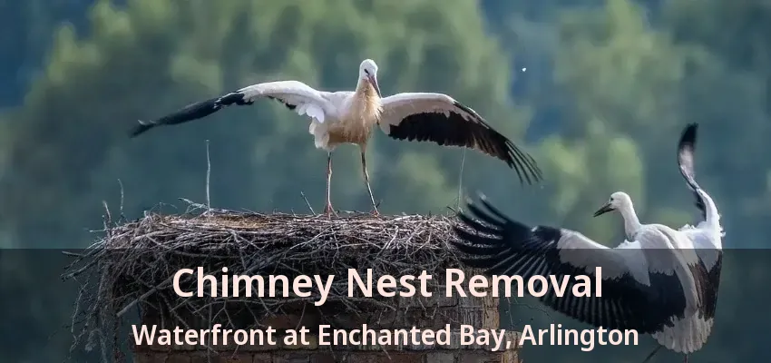 Chimney Nest Removal Waterfront at Enchanted Bay, Arlington - TX Chimney Nest Removal Waterfront at Enchanted Bay, Arlington - TX