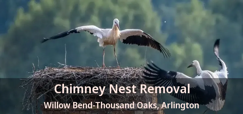 Chimney Nest Removal Willow Bend-Thousand Oaks, Arlington - TX Chimney Nest Removal Willow Bend-Thousand Oaks, Arlington - TX