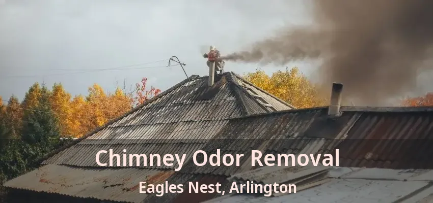 Chimney Odor Removal Eagles Nest, Arlington - TX