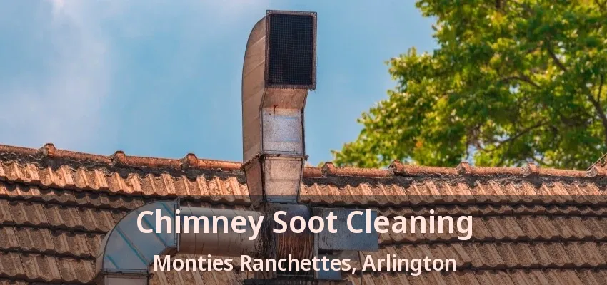 Chimney Soot Cleaning Monties Ranchettes, Arlington - TX