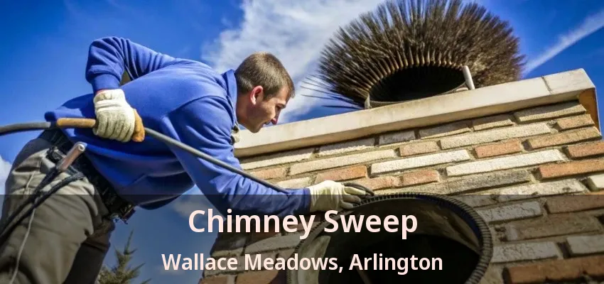 Chimney Sweep Wallace Meadows, Arlington - TX Chimney Sweep Wallace Meadows, Arlington - TX