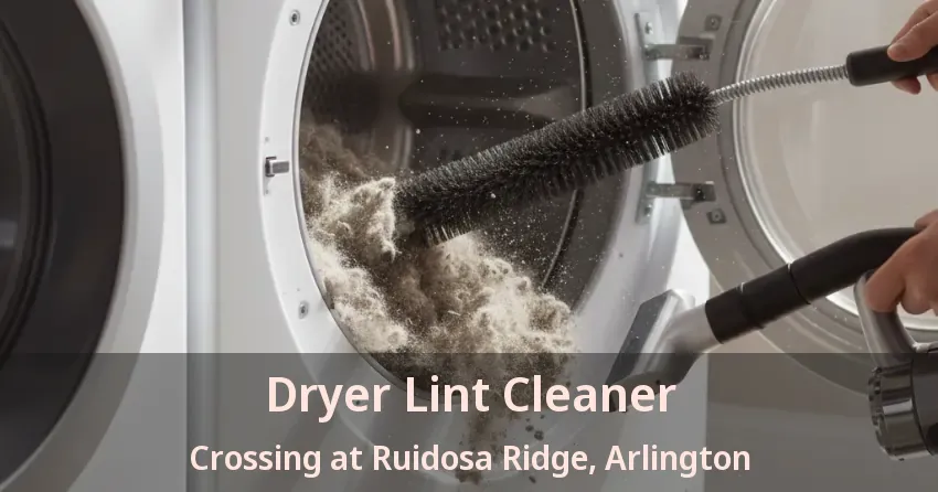 Dryer Lint Cleaner Crossing at Ruidosa Ridge, Arlington - TX