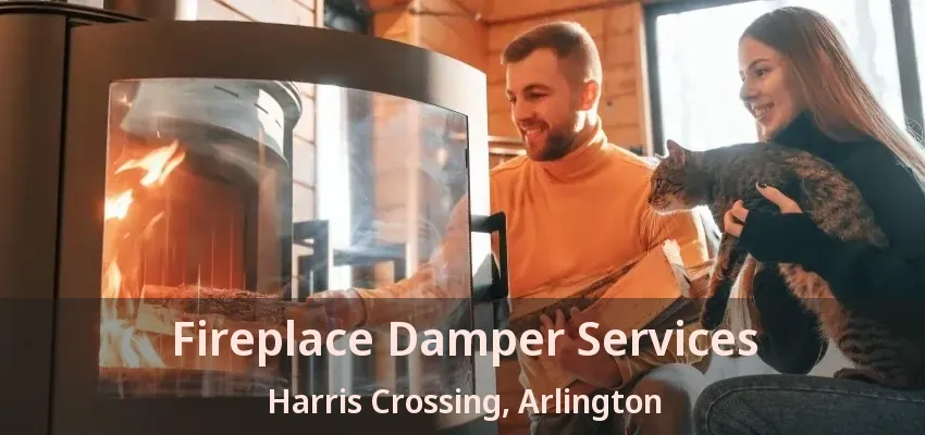 Fireplace Damper Services Harris Crossing, Arlington - TX