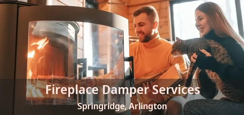 Fireplace Damper Services Springridge, Arlington - TX Fireplace Damper Services Springridge, Arlington - TX