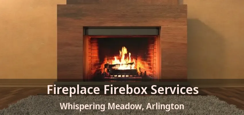 Fireplace Firebox Services Whispering Meadow, Arlington - TX