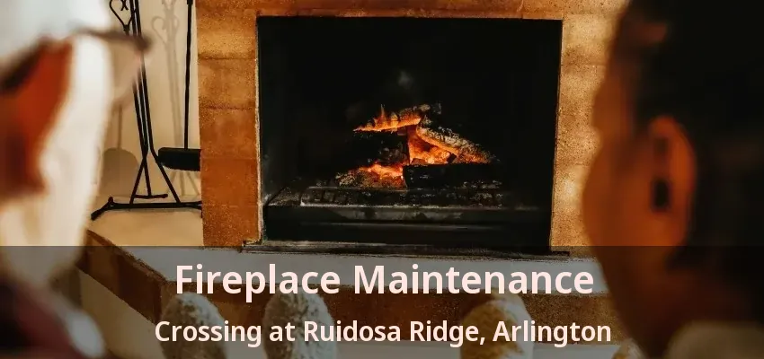 Fireplace Maintenance Crossing at Ruidosa Ridge, Arlington - TX