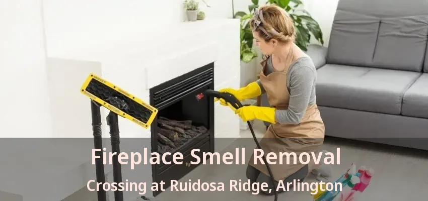 Fireplace Smell Removal Crossing at Ruidosa Ridge, Arlington - TX Fireplace Smell Removal Crossing at Ruidosa Ridge, Arlington - TX