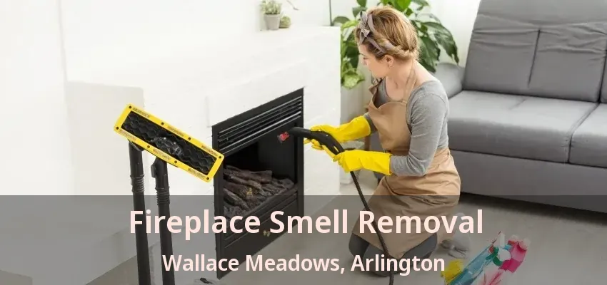 Fireplace Smell Removal Wallace Meadows, Arlington - TX
