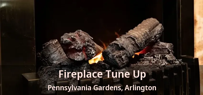 Fireplace Tune Up Pennsylvania Gardens, Arlington - TX Fireplace Tune Up Pennsylvania Gardens, Arlington - TX