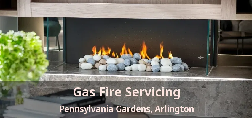 Gas Fire Servicing Pennsylvania Gardens, Arlington - TX Gas Fire Servicing Pennsylvania Gardens, Arlington - TX