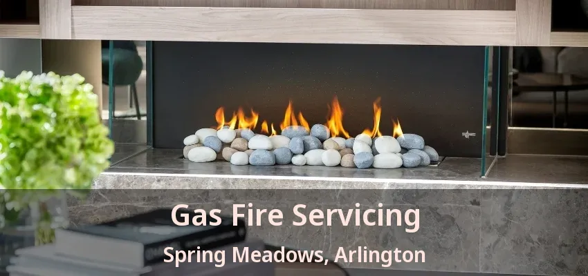 Gas Fire Servicing Spring Meadows, Arlington - TX