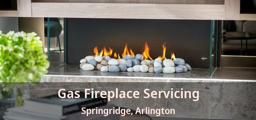 Gas Fireplace Servicing Springridge, Arlington - TX