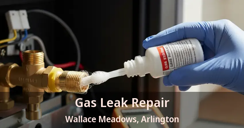 Gas Leak Repair Wallace Meadows, Arlington - TX